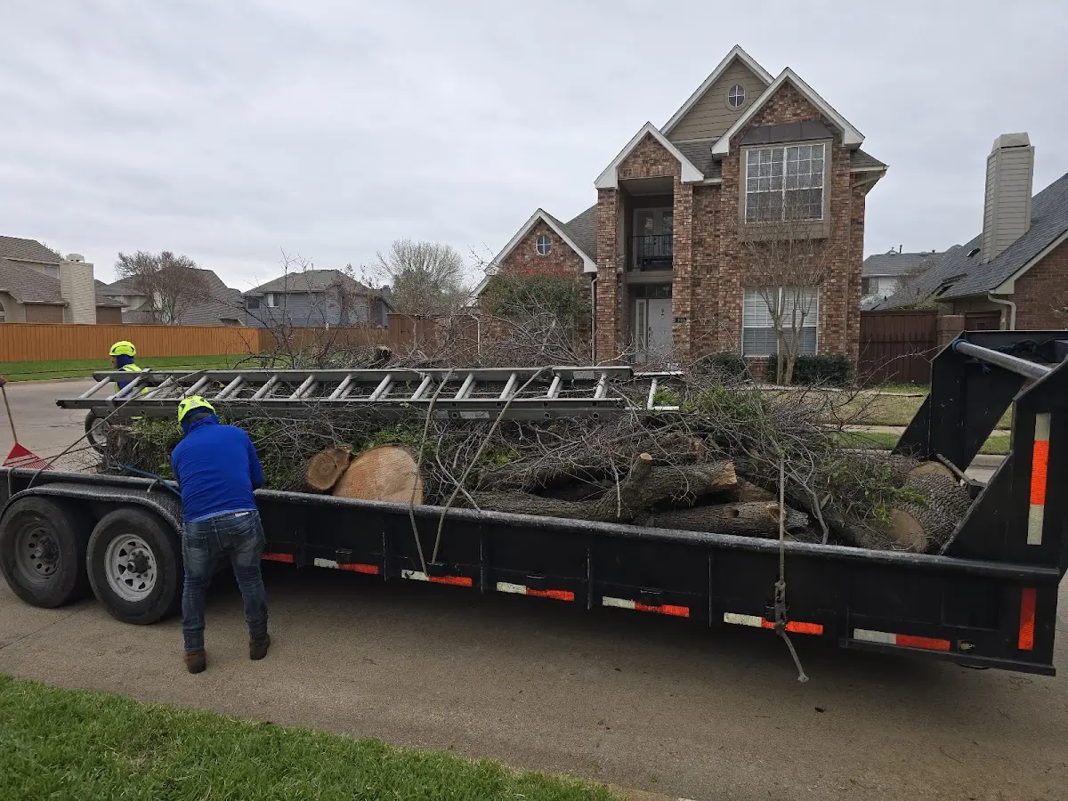 Expert Tree Removal with proper safety equipment in Navasota